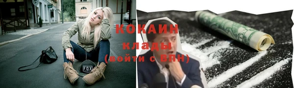 прущие грибы Нефтегорск