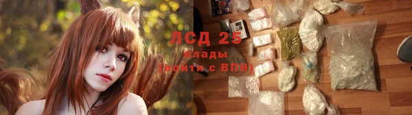 прущие грибы Нефтегорск