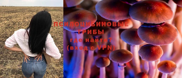 прущие грибы Нефтегорск