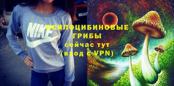 твердый Аша