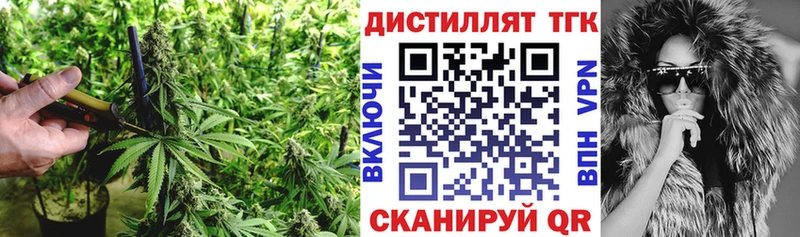 наркота  Аша  Дистиллят ТГК концентрат 
