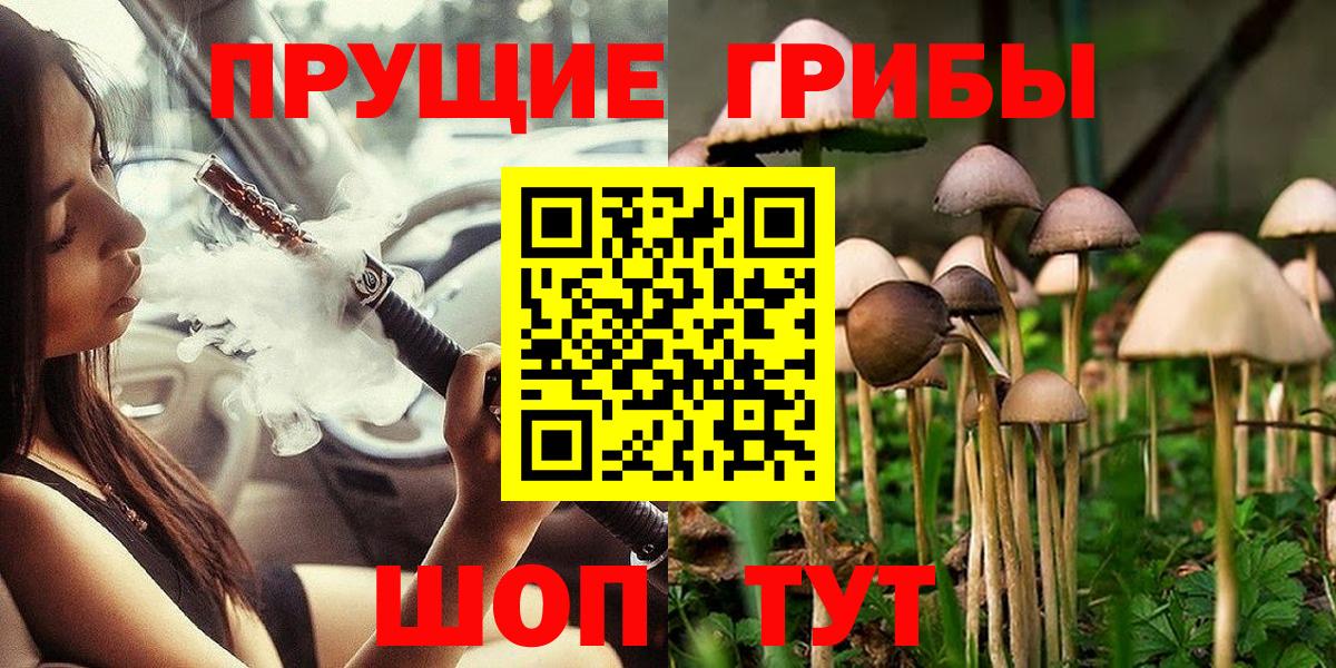 как найти наркотики  Псилоцибиновые грибы Psilocybine cubensis  Аша  Вход с VPN  Галлюциногенные грибы ЛСД 