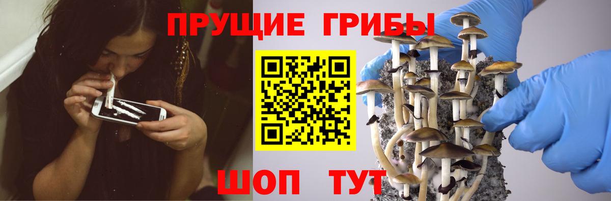 Псилоцибиновые грибы ЛСД Аша